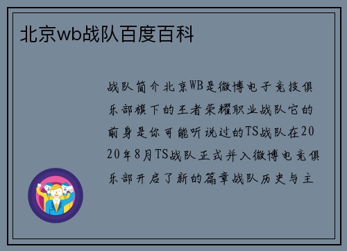 北京wb战队百度百科